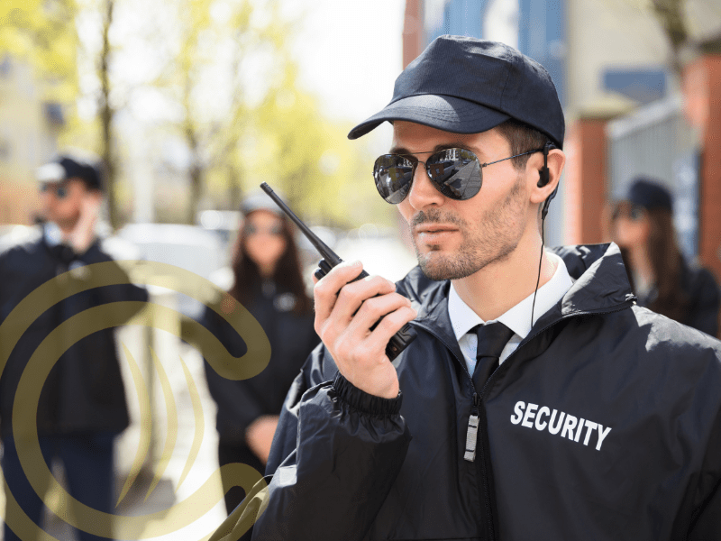 Servicios de vigilancia